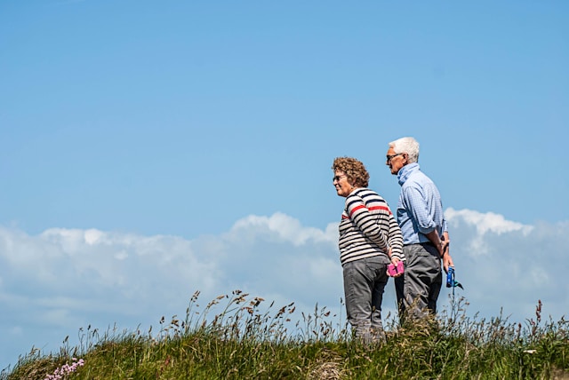 Beltrallexia galéria 1