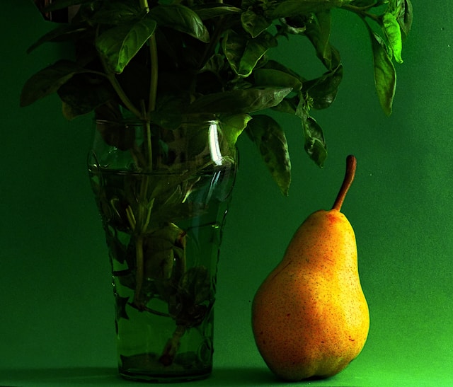 Beltrallexia galéria 3